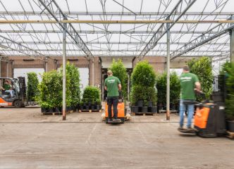 Sicherer Transport und Qualitatsgarantie