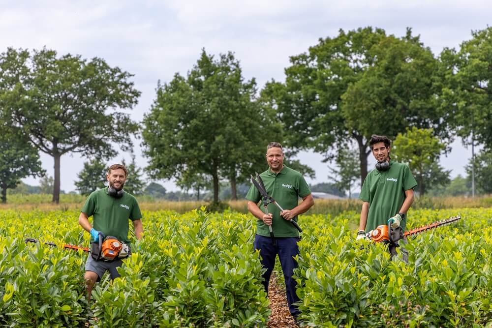 Alle Heckenpflanzen Alle Heckenpflanzen